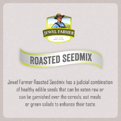 Jewel Farmer Roasted Seedmix 100 gm